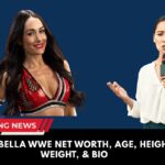 Brie Bella WWE
