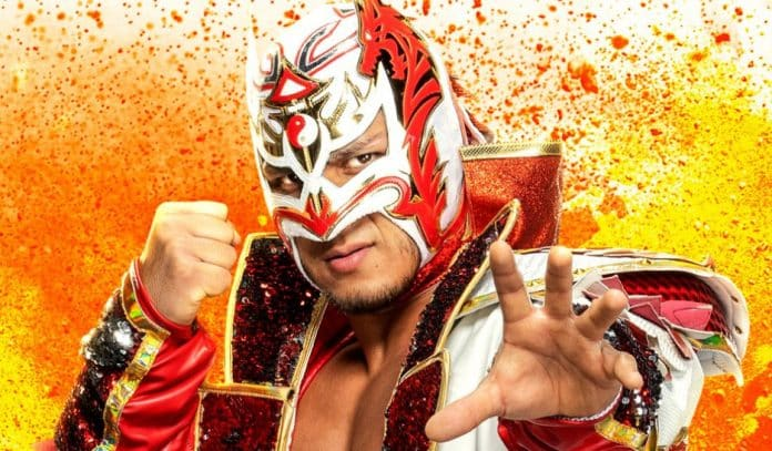 Dragon Lee Legacy and Impact