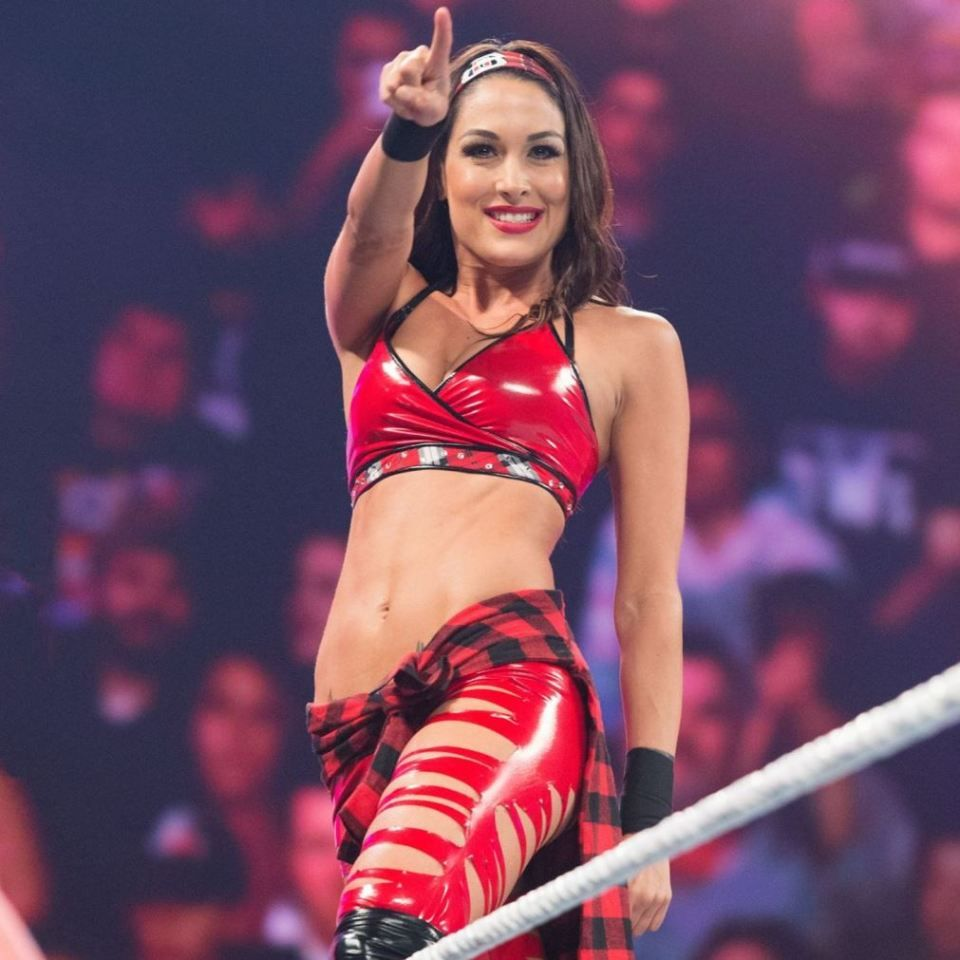 Brie Bella Before Fame